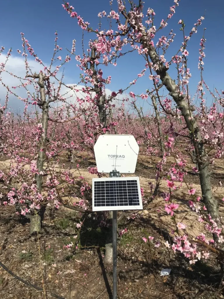What is a digital pheromone trap, pheromone trap models