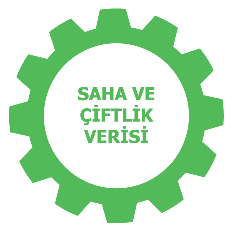 20 eylul cark 01