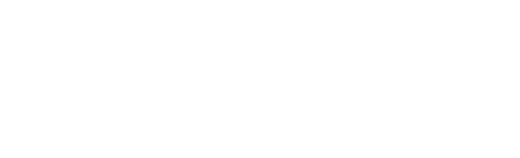 topraq_logo disi