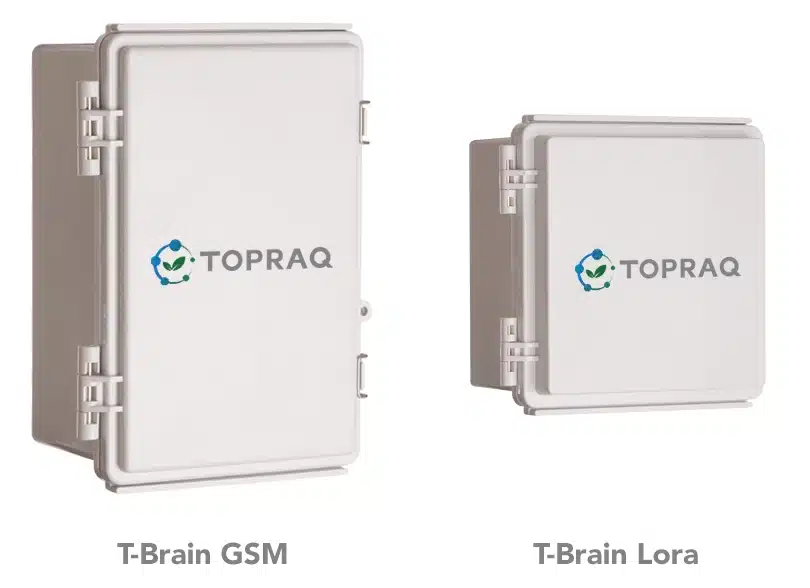 Topraq-Brain-gorsel