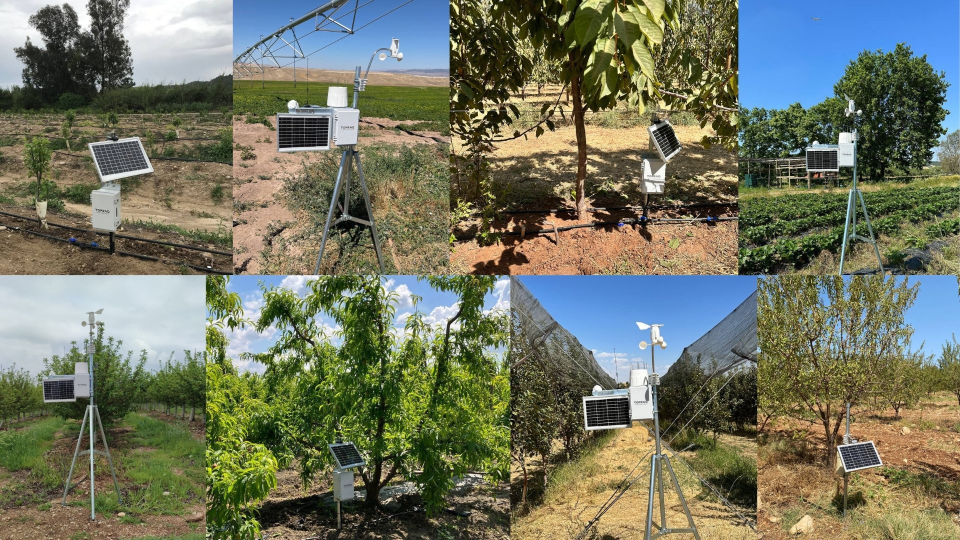 Topraq T-Weather and T-Irrigate in action