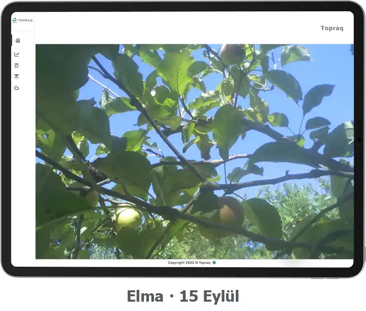 irrigate_elma 15 eylul_