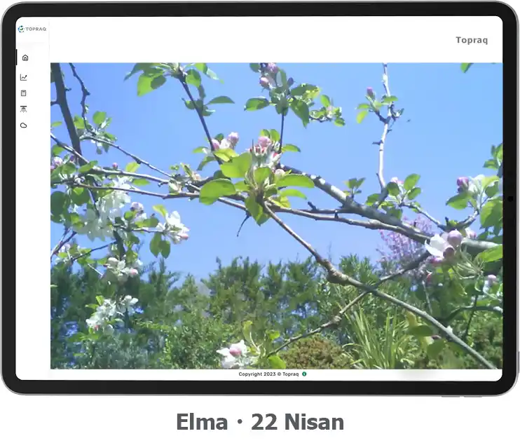 irrigate_elma 22 nisan_