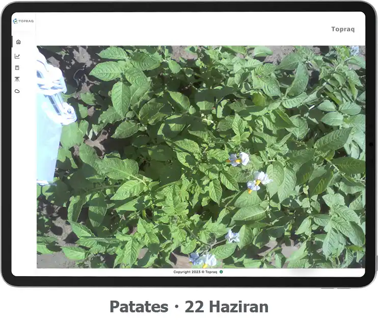 irrigate_patates 22 haziran