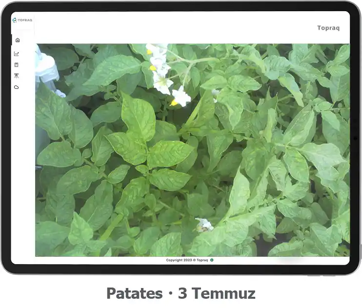 irrigate_patates 3 temmuz