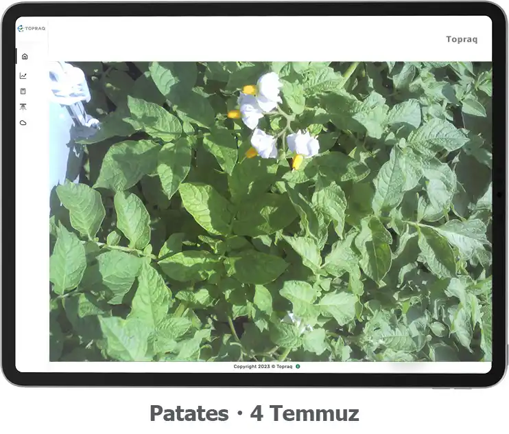 irrigate_patates 4 temmuz