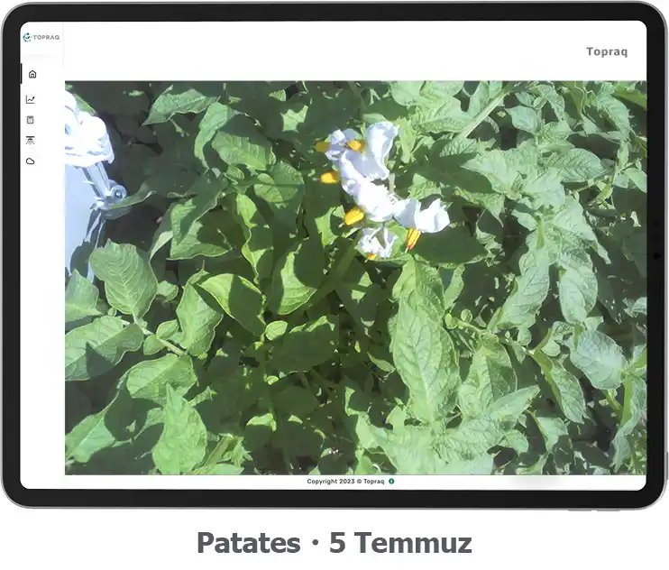 irrigate_patates 5 temmuz