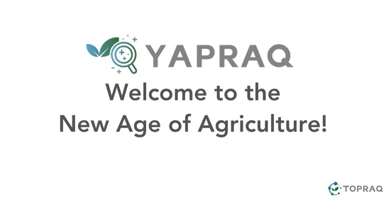 Dynamic Leaf Analysis - Yapraq