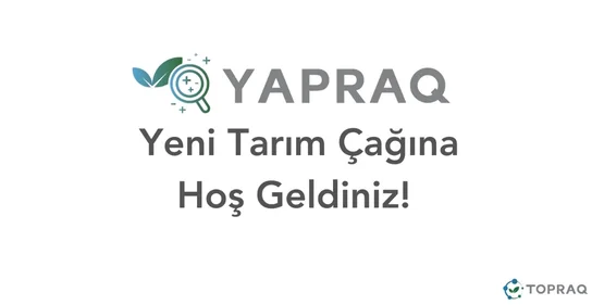 Yapraq: Dinamik Yaprak Analizi