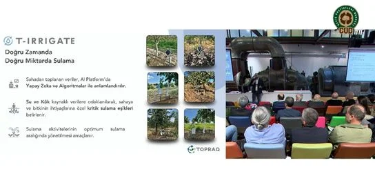 Ceviz Üreticileri Derneği - Topraq