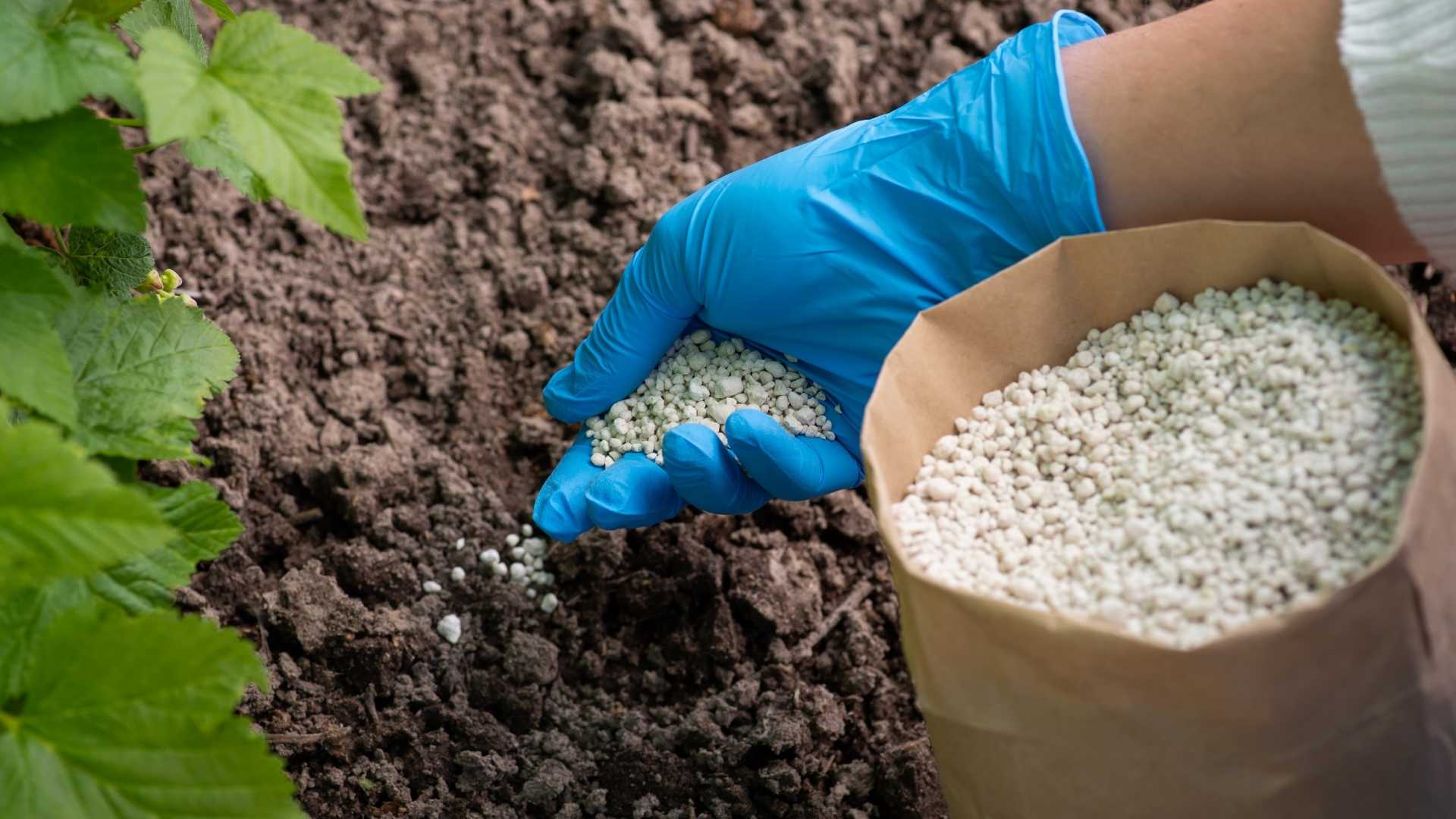 Which base fertilizer is best