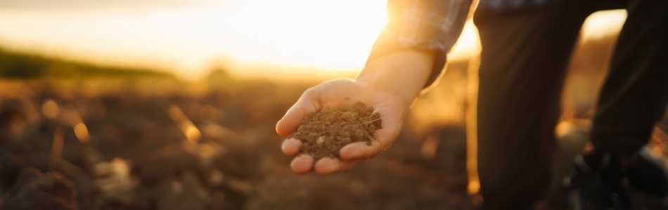 How to Increase Agricultural Productivity and Improve Soil Fertility