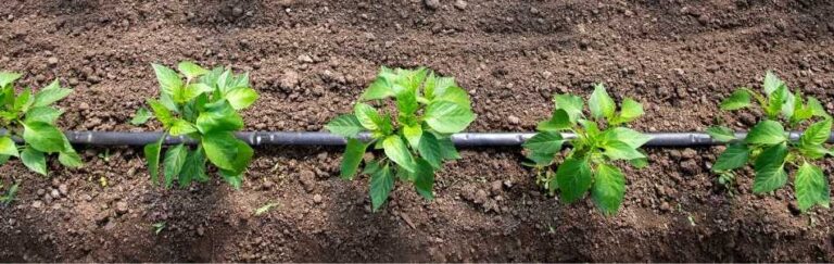 what is a water flowmeter