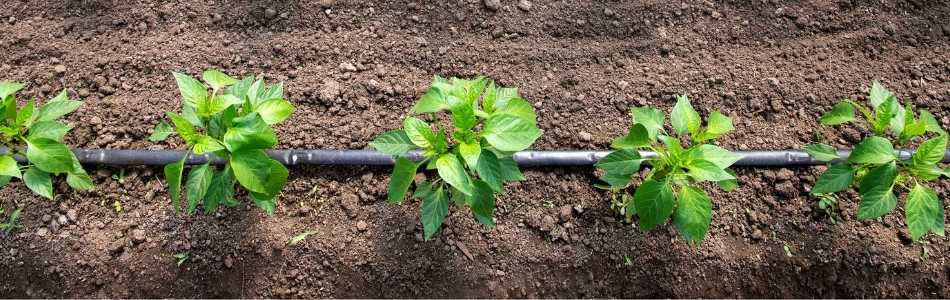 what is a water flowmeter