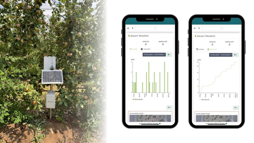 Codling Moth Control with Smart Traps