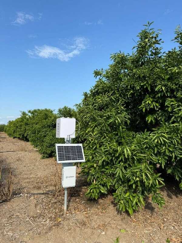 entegre zararlı yönetimi