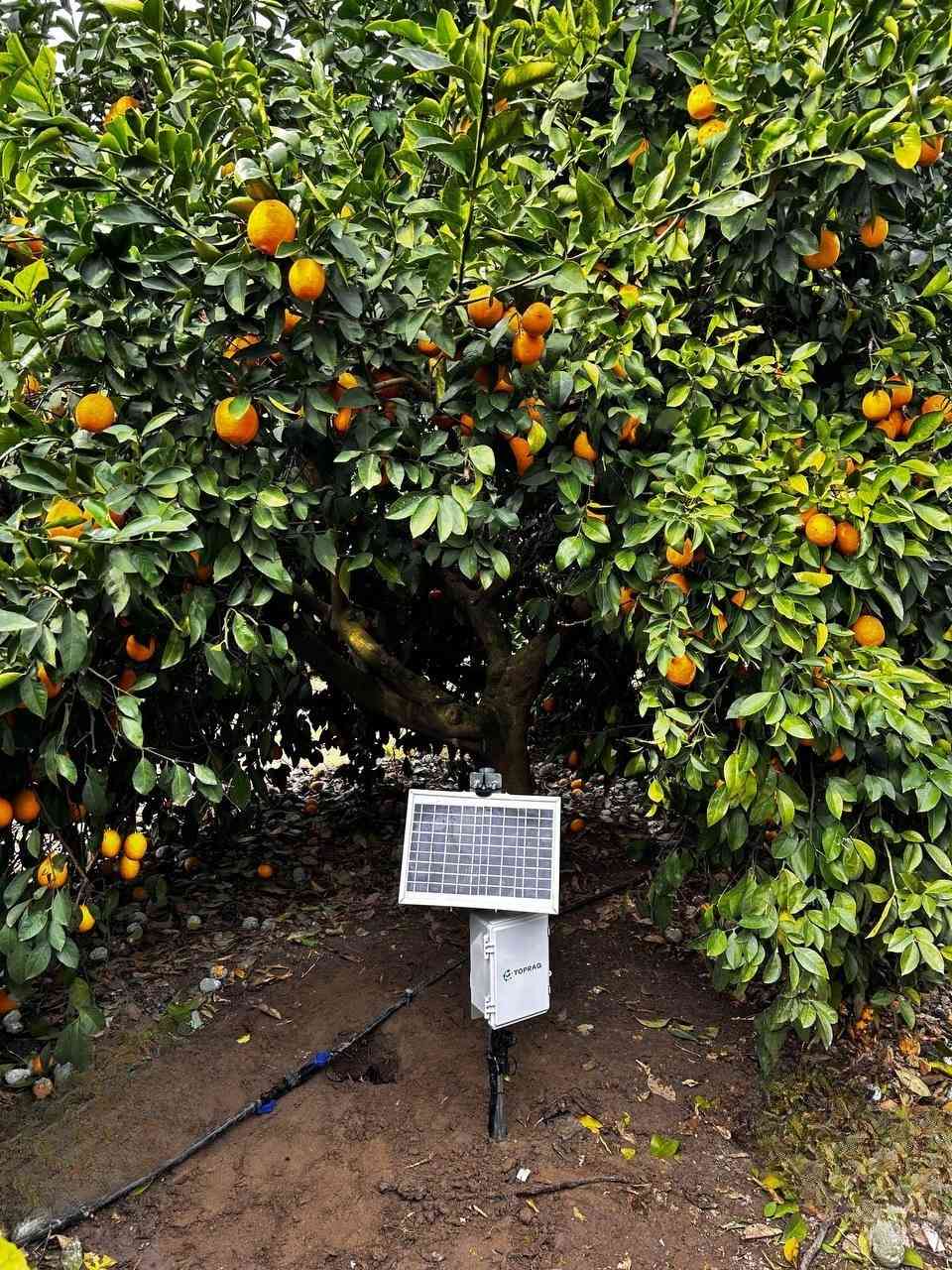 Akıllı sulama istasyonu