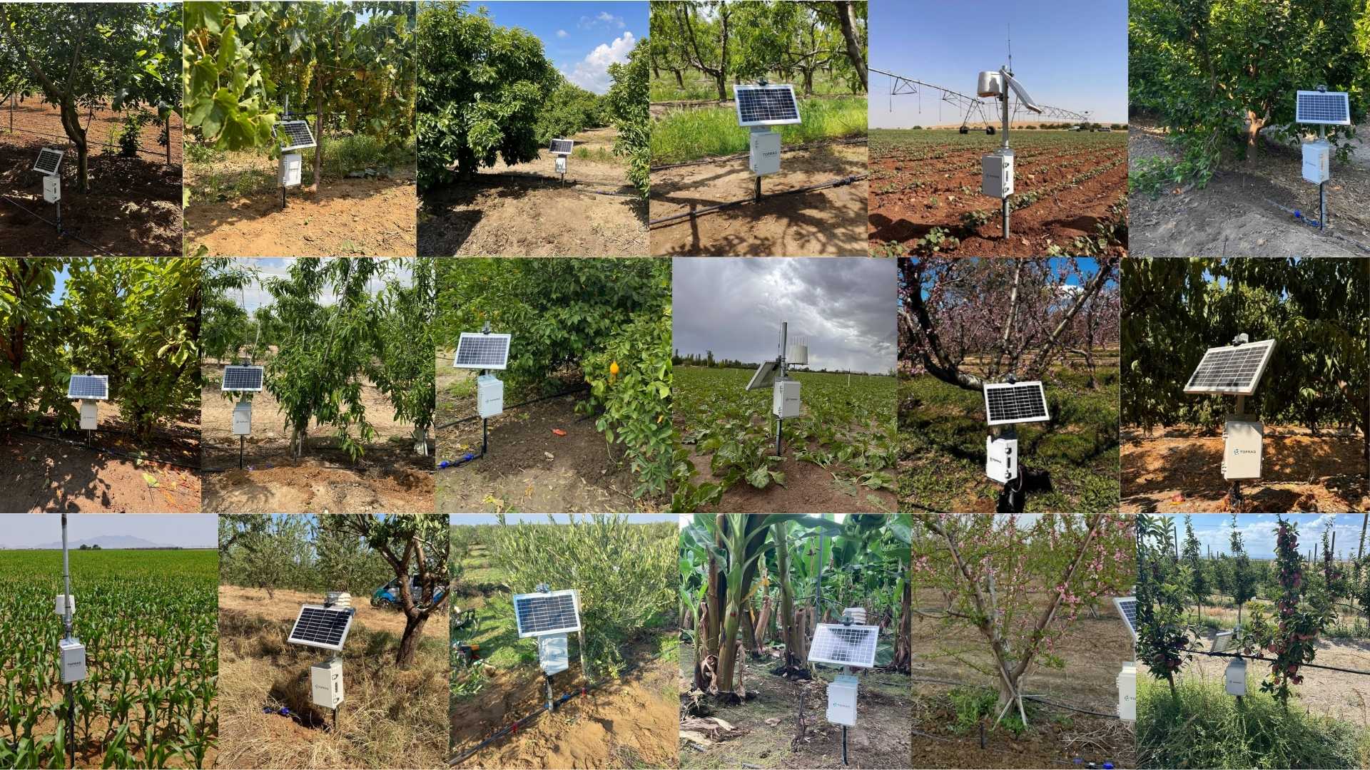 irrigation optimization